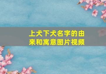 上犬下犬名字的由来和寓意图片视频