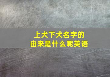 上犬下犬名字的由来是什么呢英语