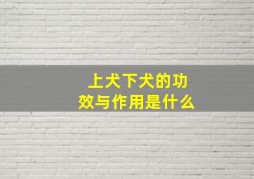 上犬下犬的功效与作用是什么