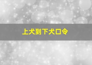 上犬到下犬口令