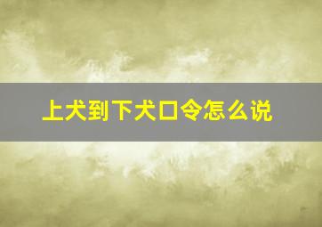 上犬到下犬口令怎么说