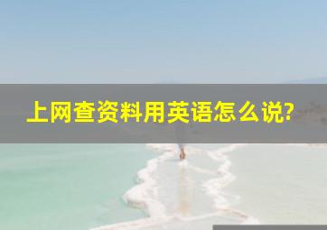 上网查资料用英语怎么说?