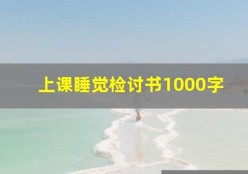 上课睡觉检讨书1000字