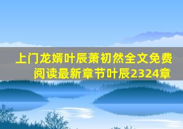 上门龙婿叶辰萧初然全文免费阅读最新章节叶辰2324章