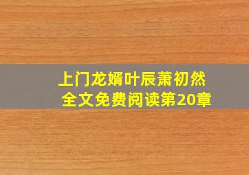 上门龙婿叶辰萧初然全文免费阅读第20章