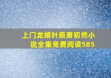 上门龙婿叶辰萧初然小说全集免费阅读585