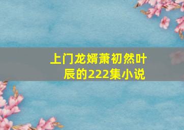 上门龙婿萧初然叶辰的222集小说