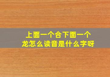 上面一个合下面一个龙怎么读音是什么字呀