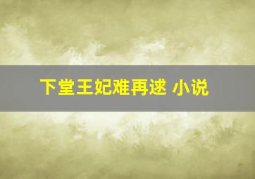 下堂王妃难再逑 小说