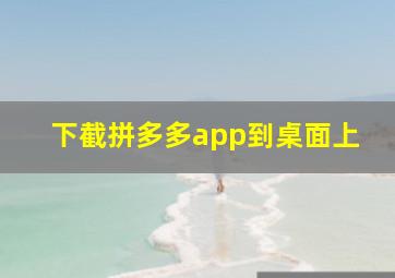 下截拼多多app到桌面上