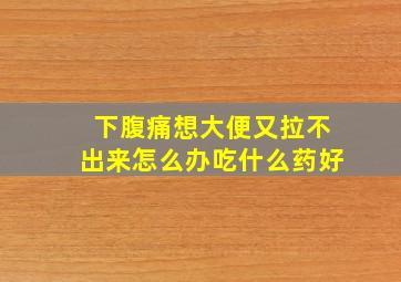 下腹痛想大便又拉不出来怎么办吃什么药好