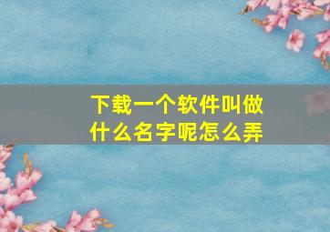 下载一个软件叫做什么名字呢怎么弄