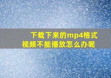 下载下来的mp4格式视频不能播放怎么办呢