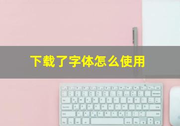 下载了字体怎么使用