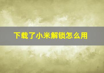 下载了小米解锁怎么用