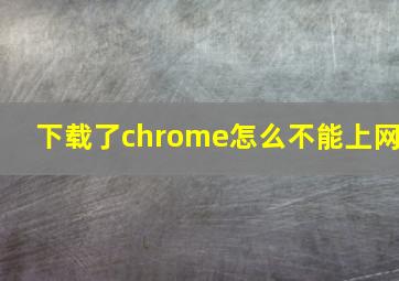 下载了chrome怎么不能上网