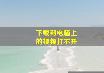 下载到电脑上的视频打不开