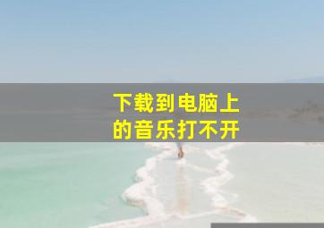 下载到电脑上的音乐打不开