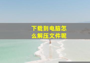 下载到电脑怎么解压文件呢