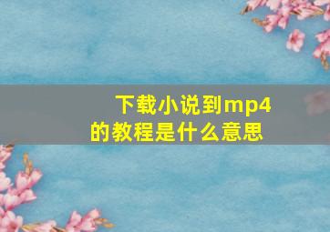 下载小说到mp4的教程是什么意思