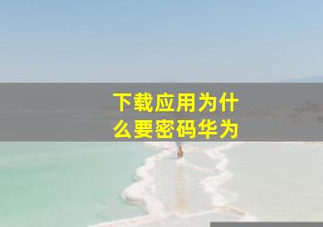 下载应用为什么要密码华为