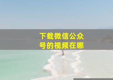 下载微信公众号的视频在哪