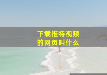 下载推特视频的网页叫什么