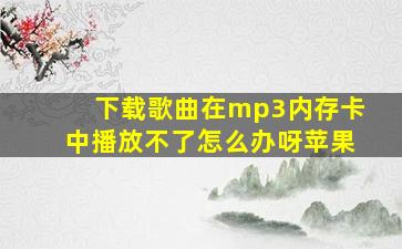 下载歌曲在mp3内存卡中播放不了怎么办呀苹果