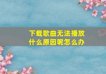 下载歌曲无法播放什么原因呢怎么办