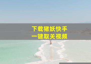 下载猪妖快手一键取关视频