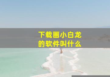 下载画小白龙的软件叫什么