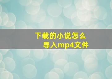 下载的小说怎么导入mp4文件