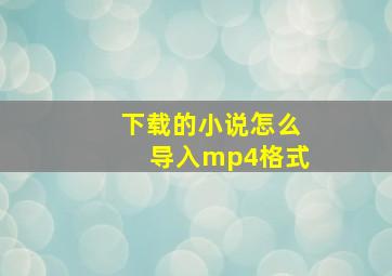 下载的小说怎么导入mp4格式