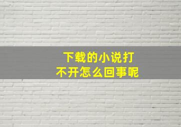 下载的小说打不开怎么回事呢