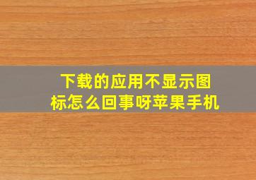 下载的应用不显示图标怎么回事呀苹果手机