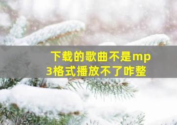 下载的歌曲不是mp3格式播放不了咋整