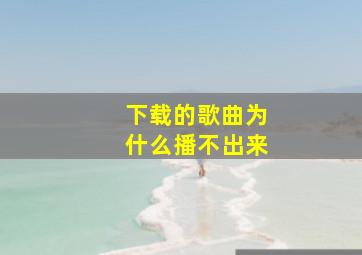 下载的歌曲为什么播不出来