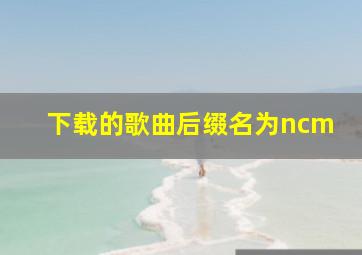 下载的歌曲后缀名为ncm