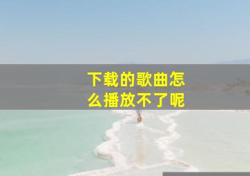 下载的歌曲怎么播放不了呢