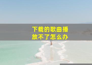 下载的歌曲播放不了怎么办