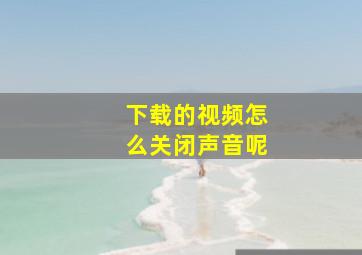 下载的视频怎么关闭声音呢