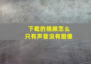 下载的视频怎么只有声音没有图像