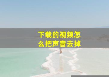 下载的视频怎么把声音去掉