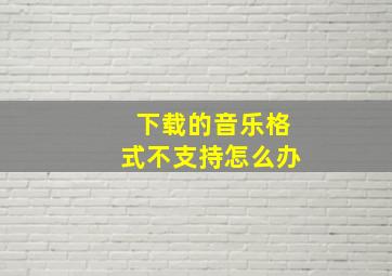 下载的音乐格式不支持怎么办