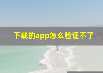 下载的app怎么验证不了