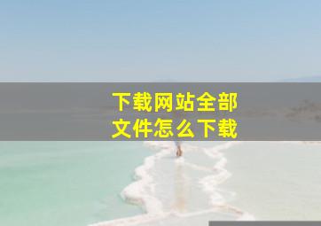 下载网站全部文件怎么下载