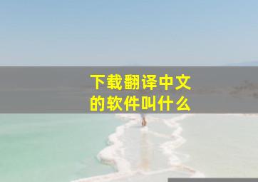 下载翻译中文的软件叫什么