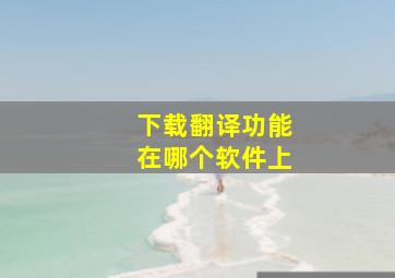 下载翻译功能在哪个软件上