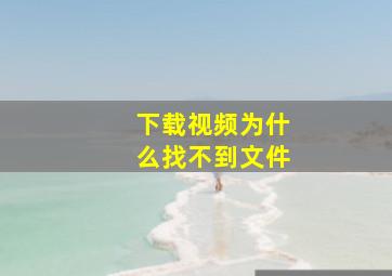 下载视频为什么找不到文件