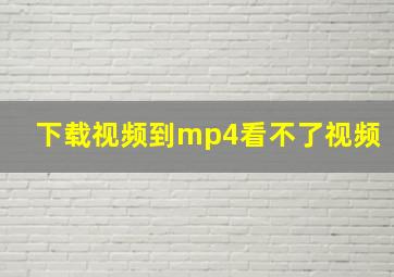 下载视频到mp4看不了视频